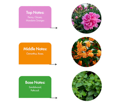 Aqua Crystal Inspired by CK One