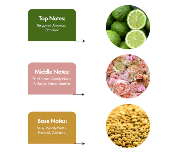 Urban Legend - Tbahi Projection Perfume