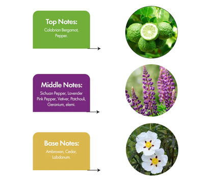 Urban Rebel Inspired by Sauvage EDT